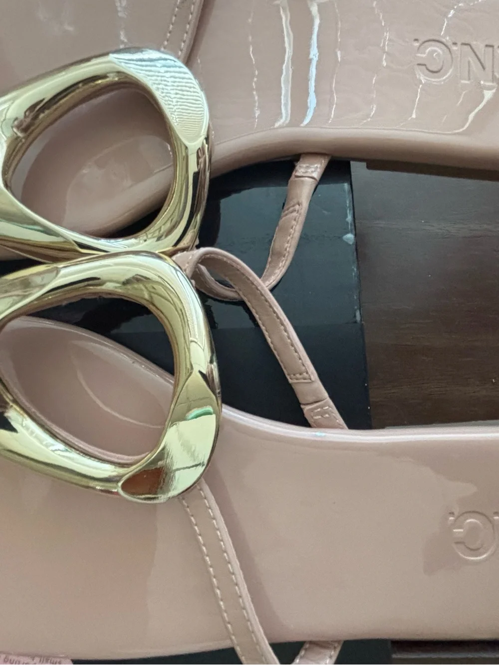 BNIB, I.N.C. Nude Patent Thong Sandals with Gold Accent